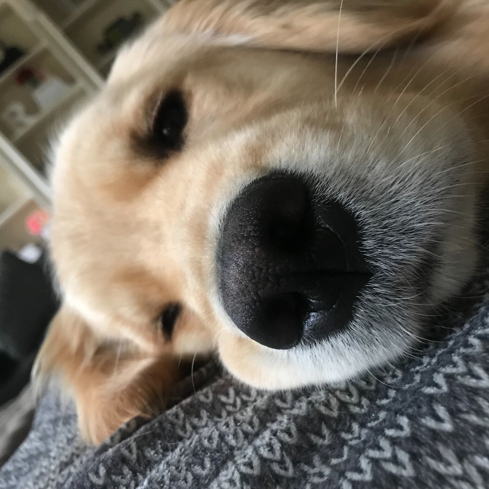 Meet your Posher, Cory